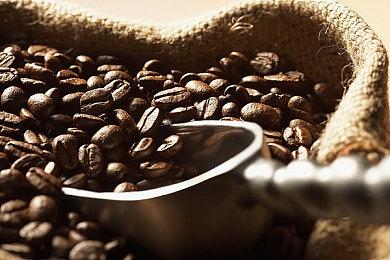 《牧场物语》系列公布两款新作 平台发售日期待定