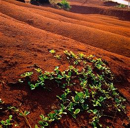 育碧游戏发布会6月11日3点举行 可领取奖励
